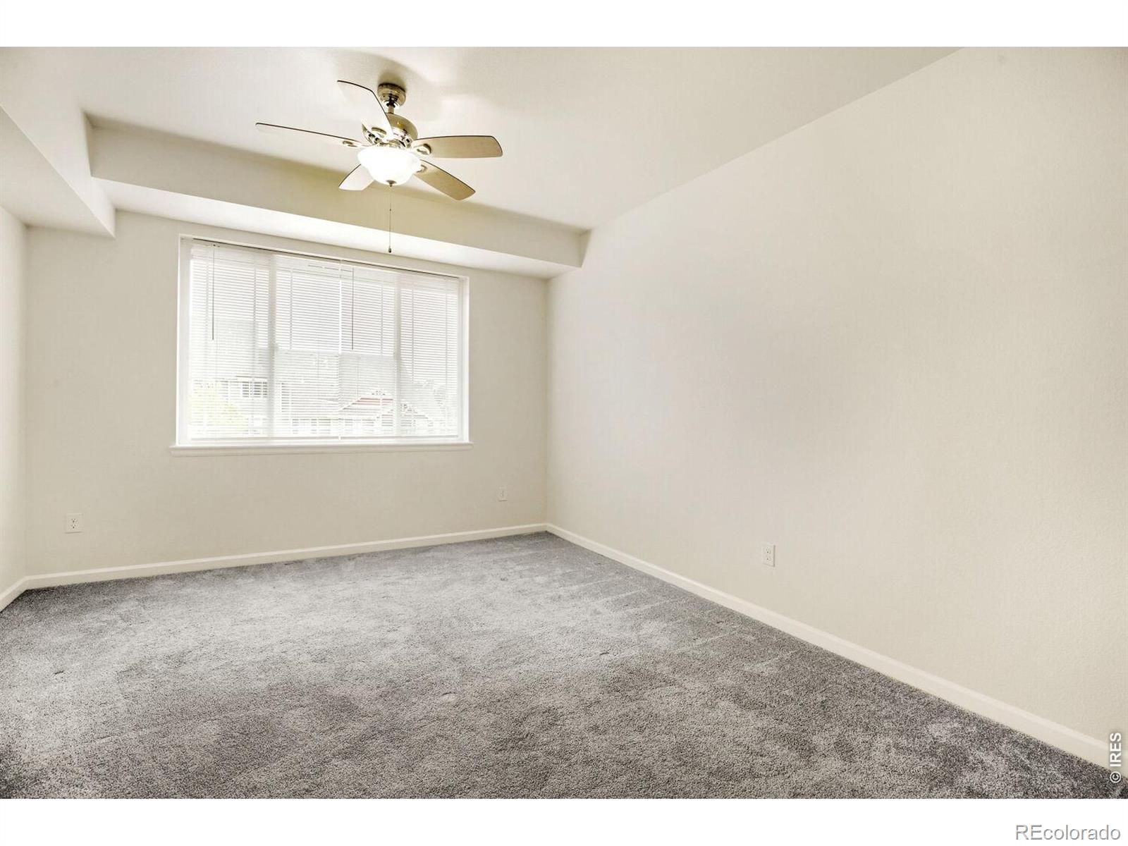 MLS Image #9 for 804  summer hawk drive,longmont, Colorado