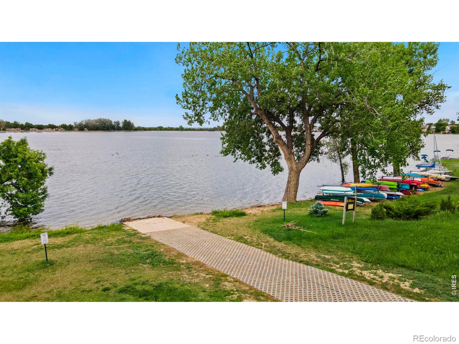 MLS Image #3 for 524  spring canyon court,fort collins, Colorado