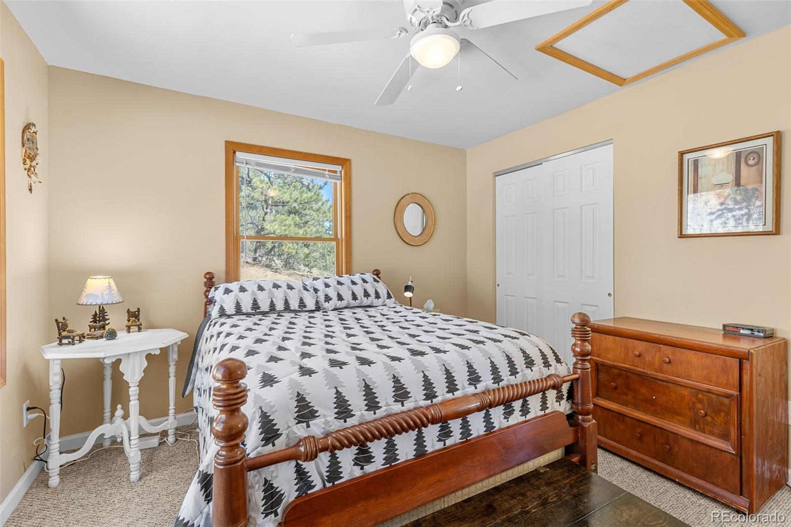 MLS Image #14 for 2120  oxford drive,hartsel, Colorado