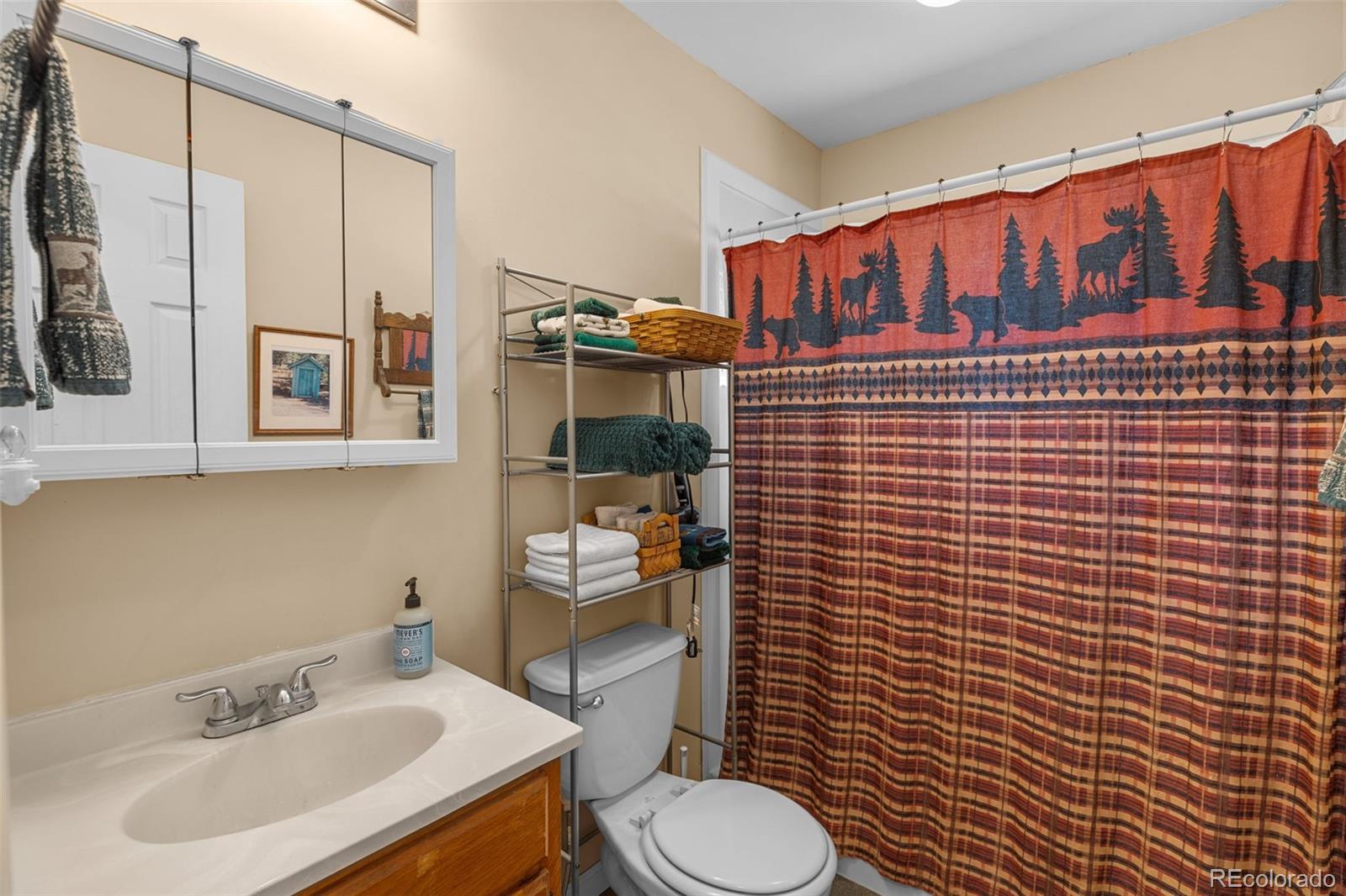 MLS Image #15 for 2120  oxford drive,hartsel, Colorado