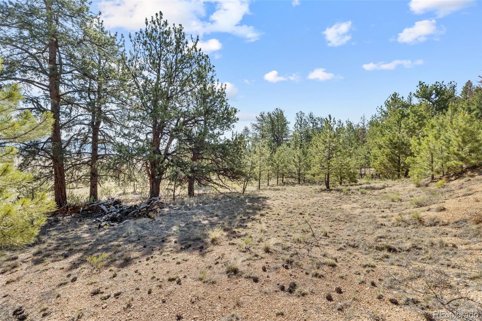 MLS Image #19 for 2120  oxford drive,hartsel, Colorado