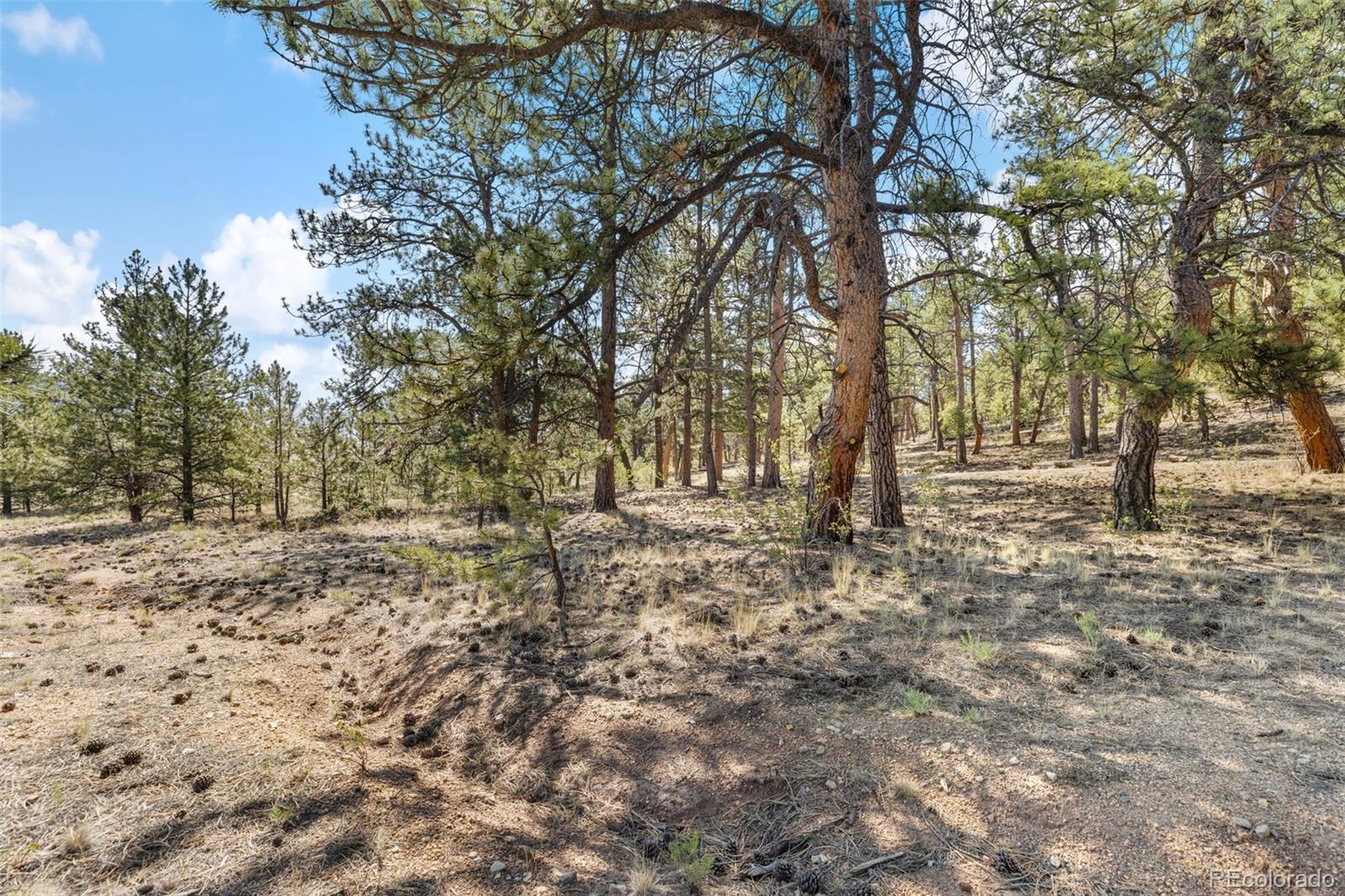 MLS Image #20 for 2120  oxford drive,hartsel, Colorado