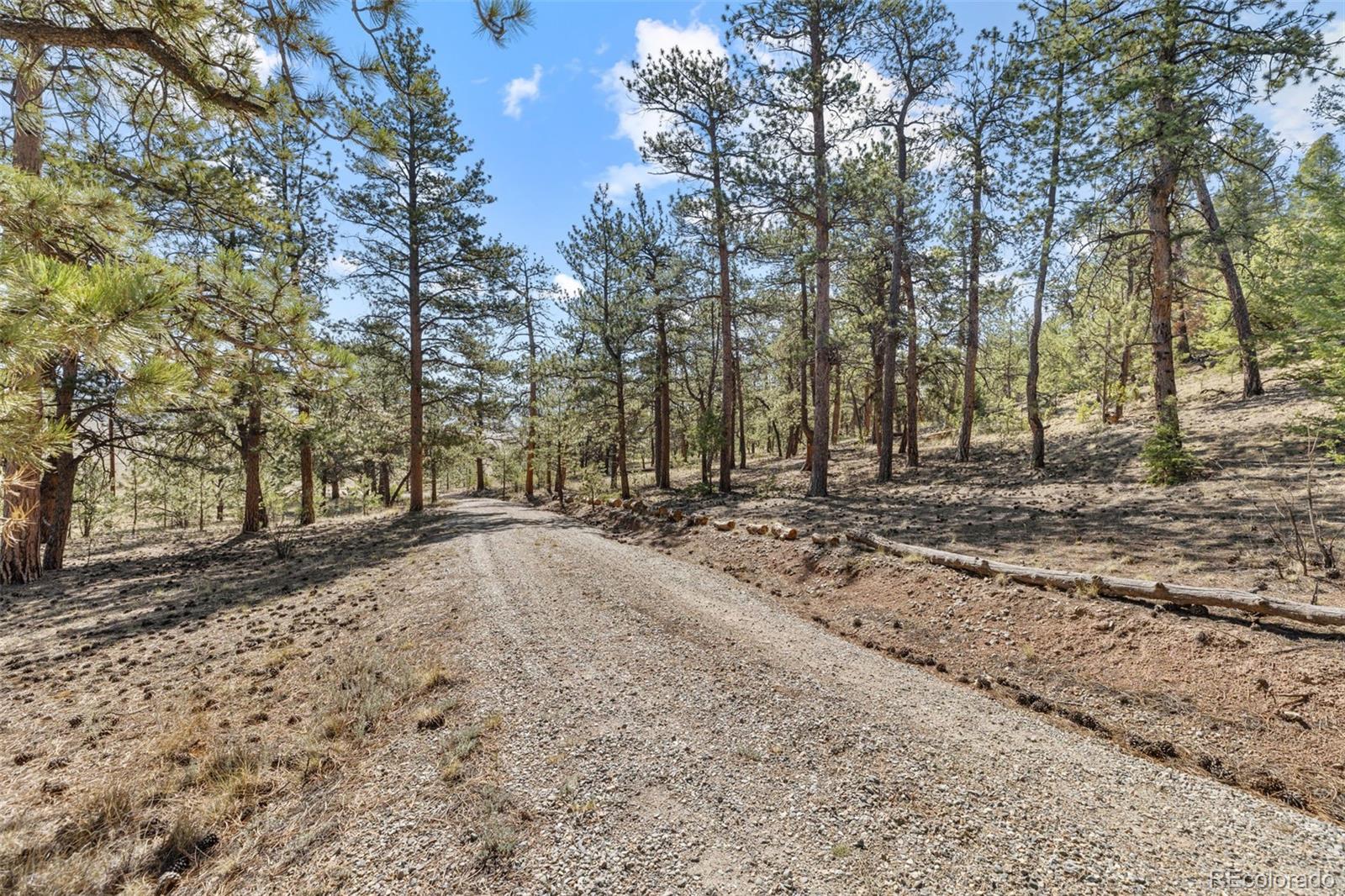 MLS Image #21 for 2120  oxford drive,hartsel, Colorado