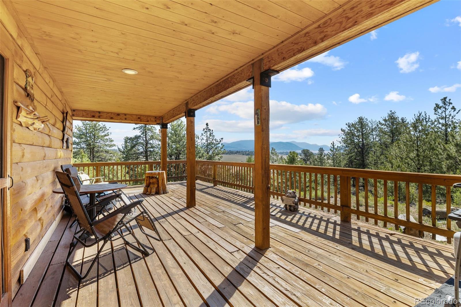 MLS Image #5 for 2120  oxford drive,hartsel, Colorado