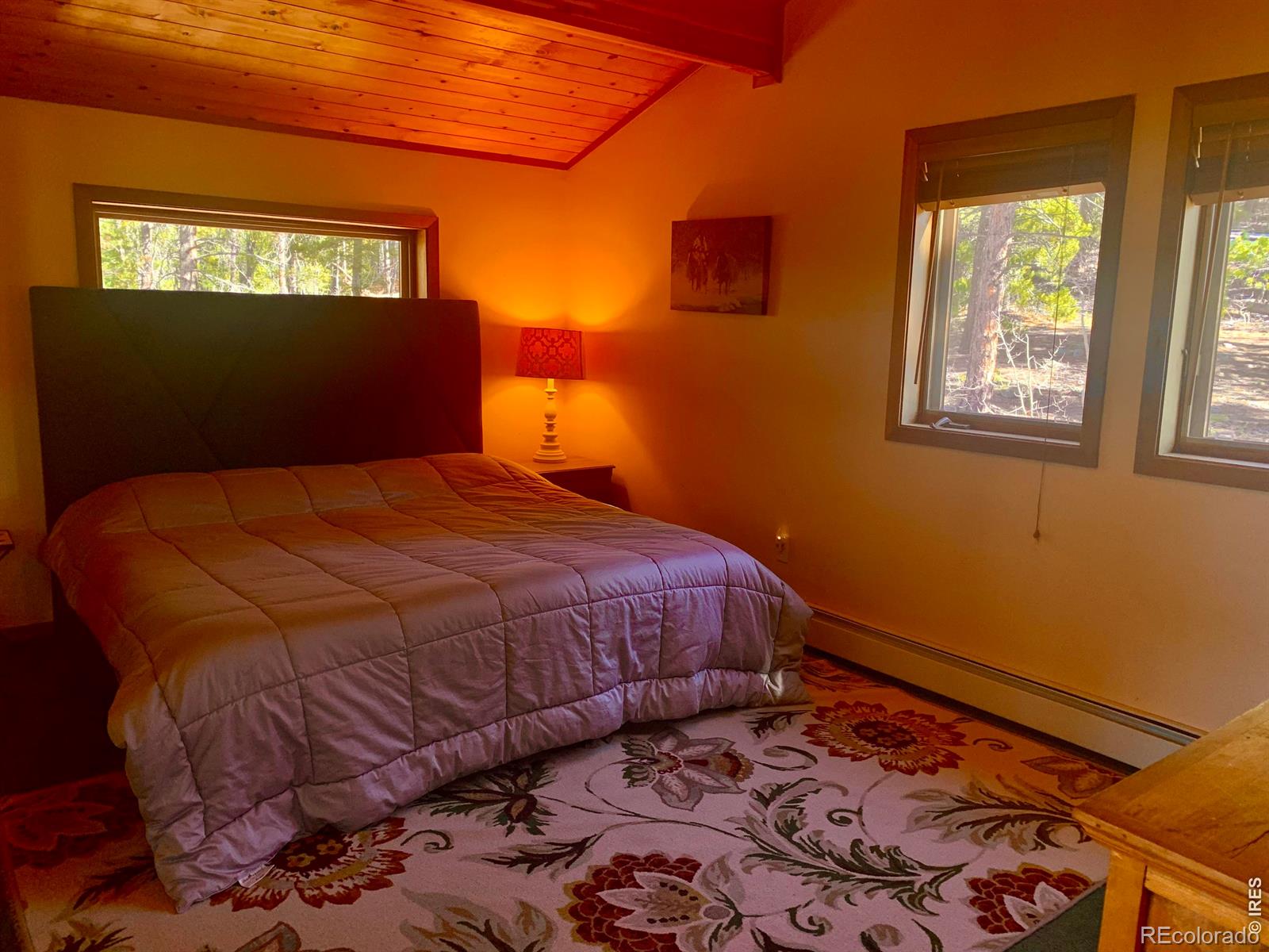 MLS Image #12 for 24  farrell drive,black hawk, Colorado