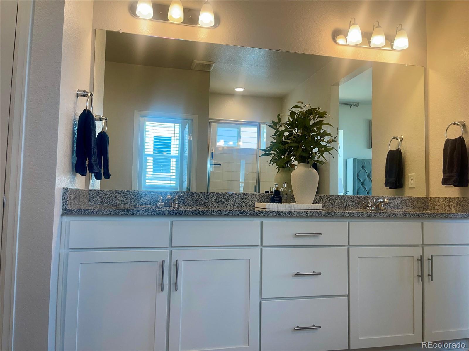 MLS Image #9 for 4875  basalt ridge circle,castle rock, Colorado