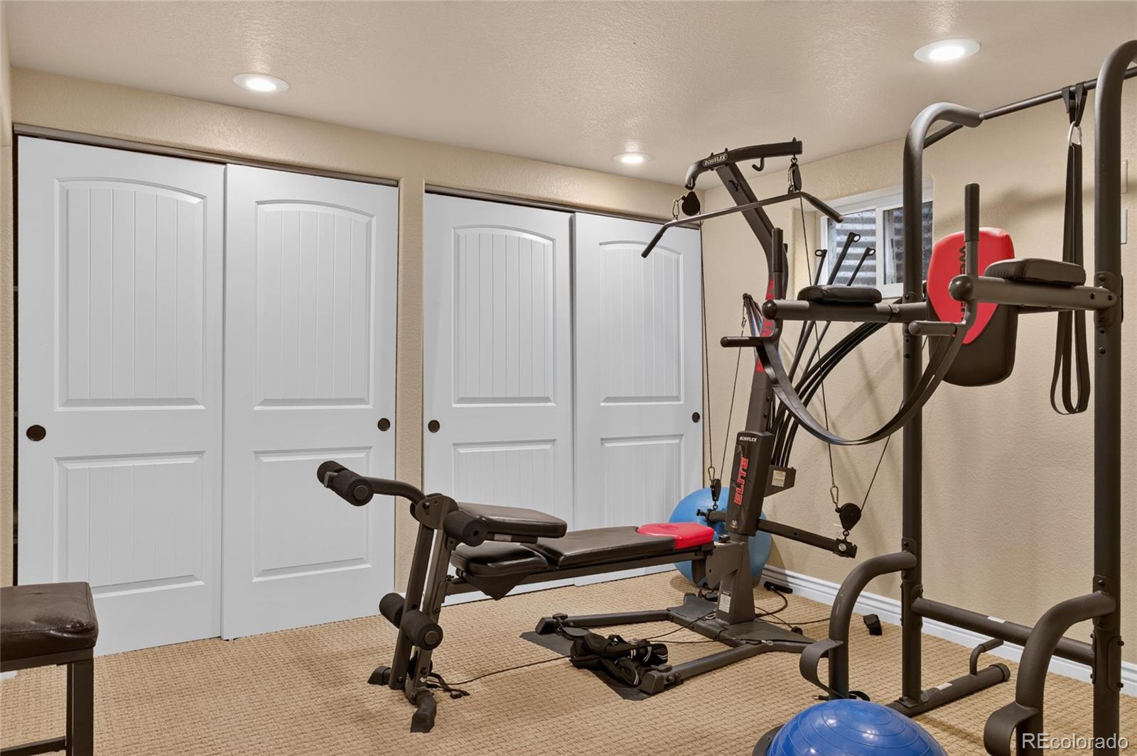 MLS Image #29 for 8798  forrest drive,highlands ranch, Colorado