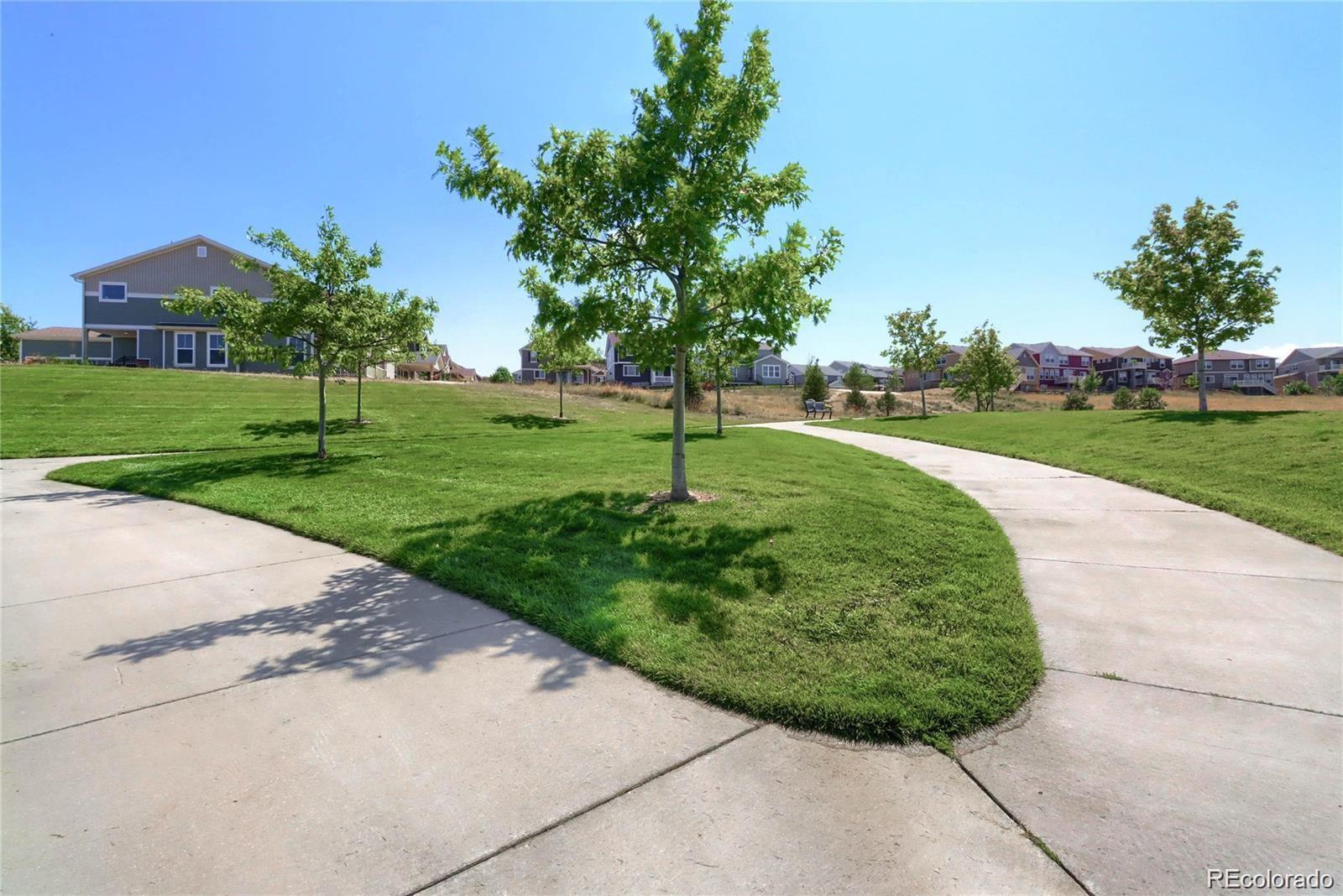 MLS Image #12 for 1696  odyssey court,castle rock, Colorado