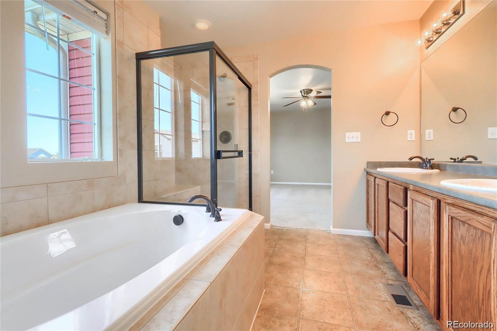 MLS Image #6 for 1696  odyssey court,castle rock, Colorado