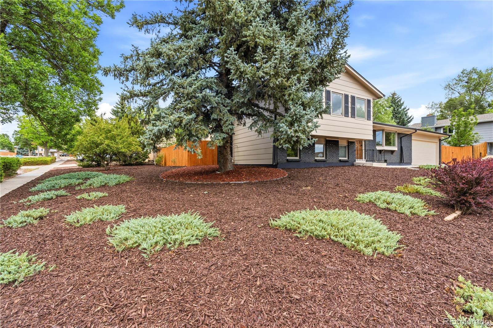 MLS Image #2 for 4410  seesaw circle,colorado springs, Colorado