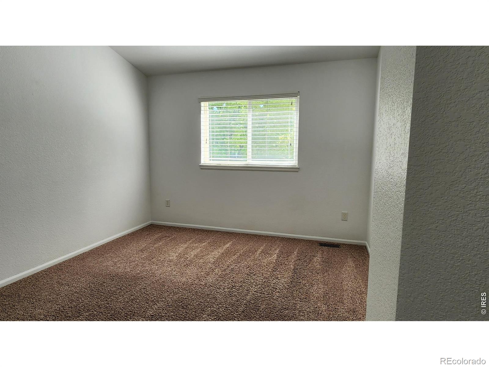 MLS Image #17 for 4502  teller place,loveland, Colorado