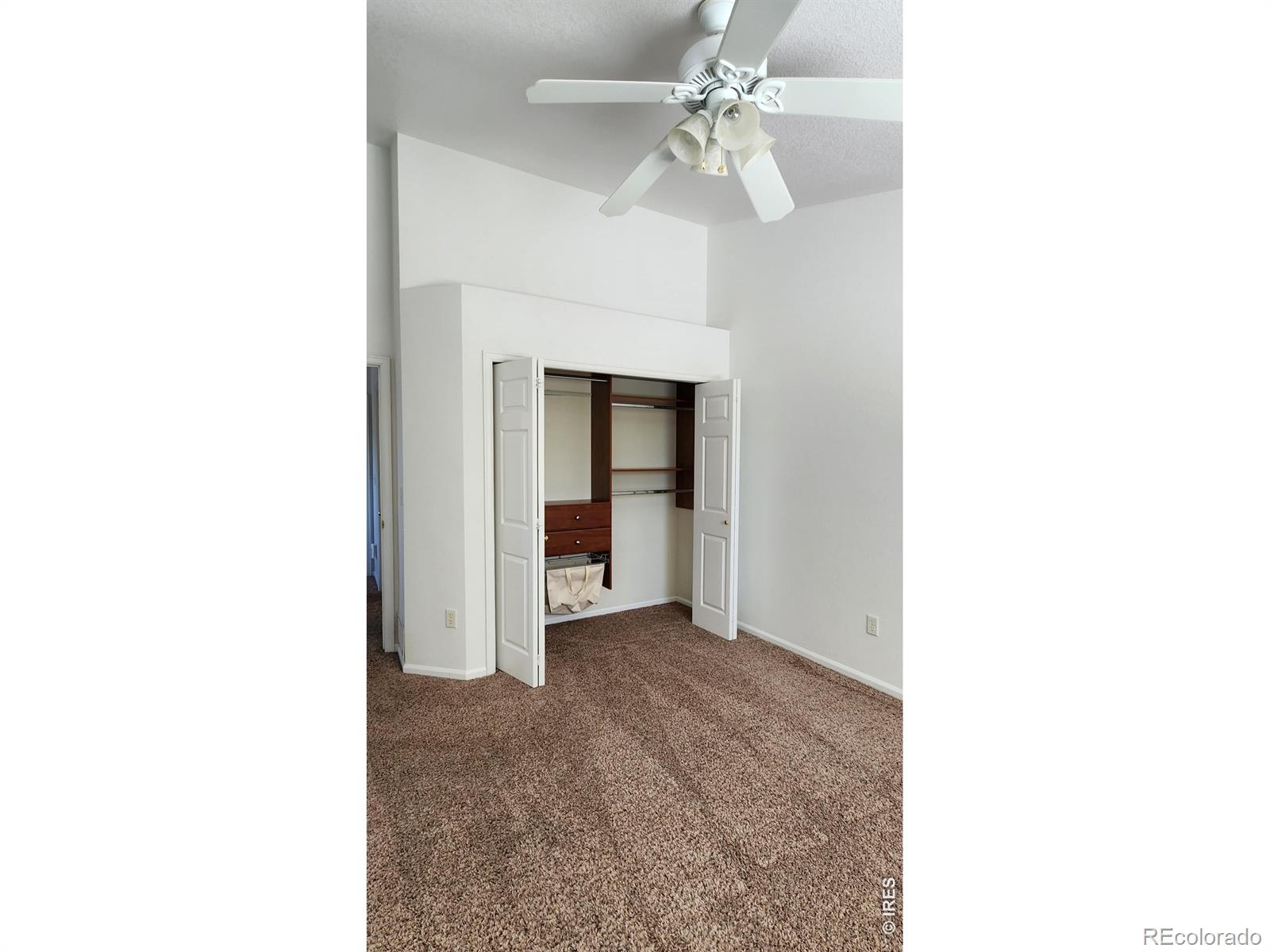 MLS Image #18 for 4502  teller place,loveland, Colorado