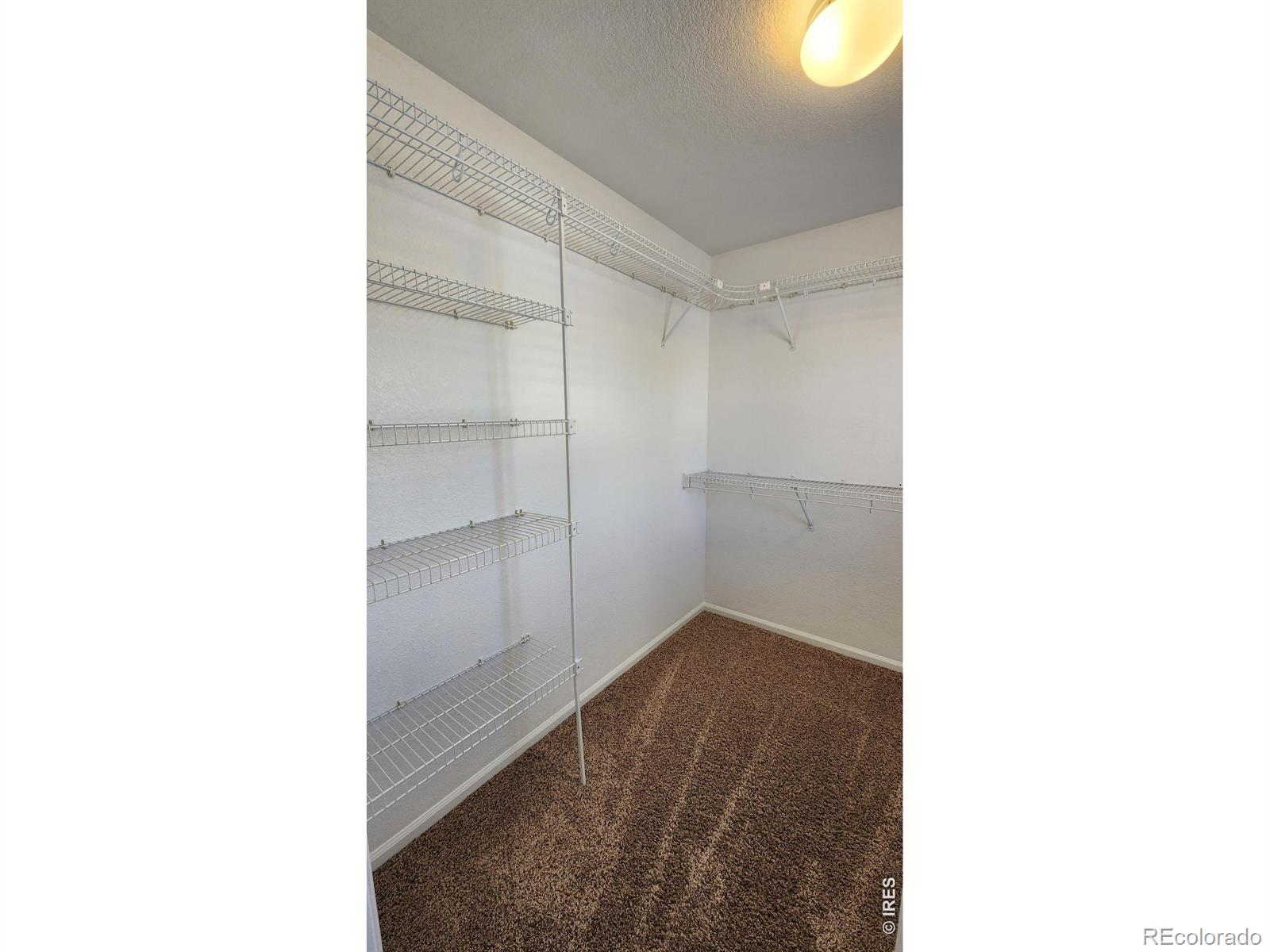 MLS Image #23 for 4502  teller place,loveland, Colorado