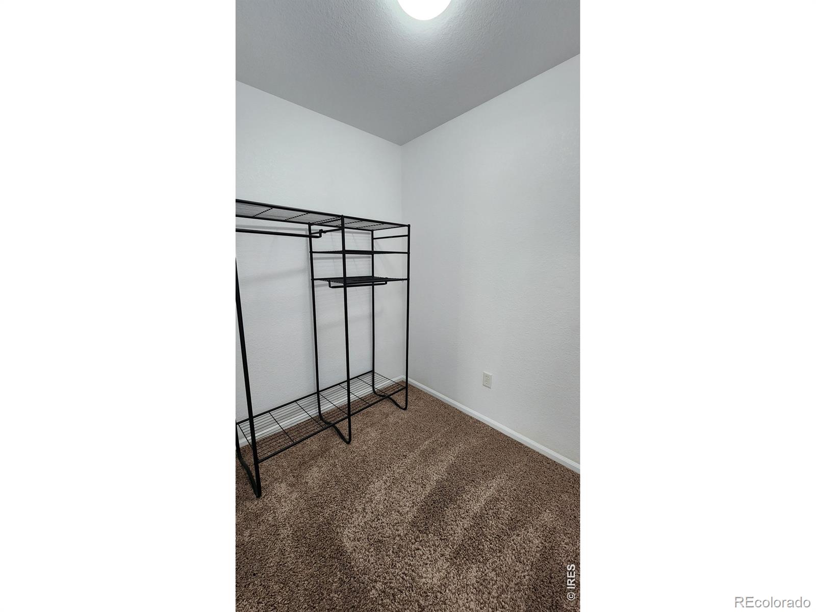 MLS Image #24 for 4502  teller place,loveland, Colorado