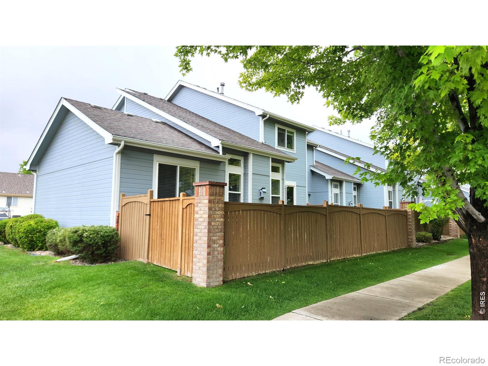 MLS Image #38 for 4502  teller place,loveland, Colorado