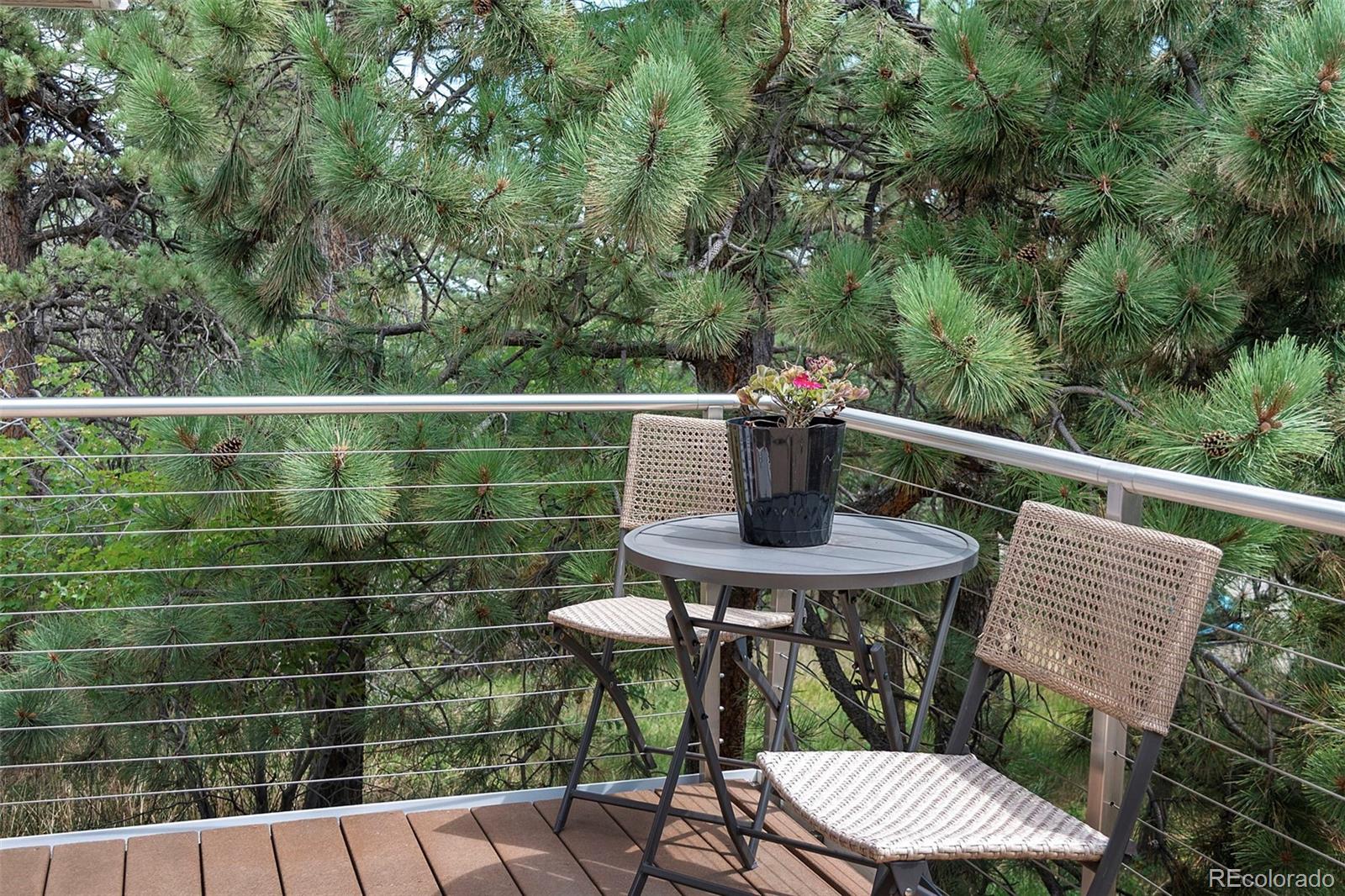 MLS Image #7 for 20883  sky meadow lane,golden, Colorado