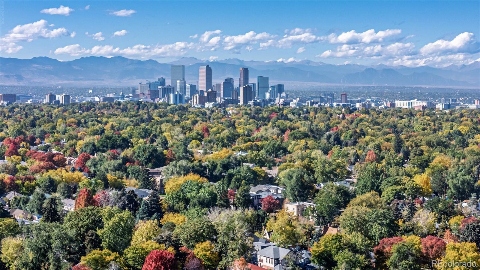 MLS Image #46 for 353  bellaire street,denver, Colorado