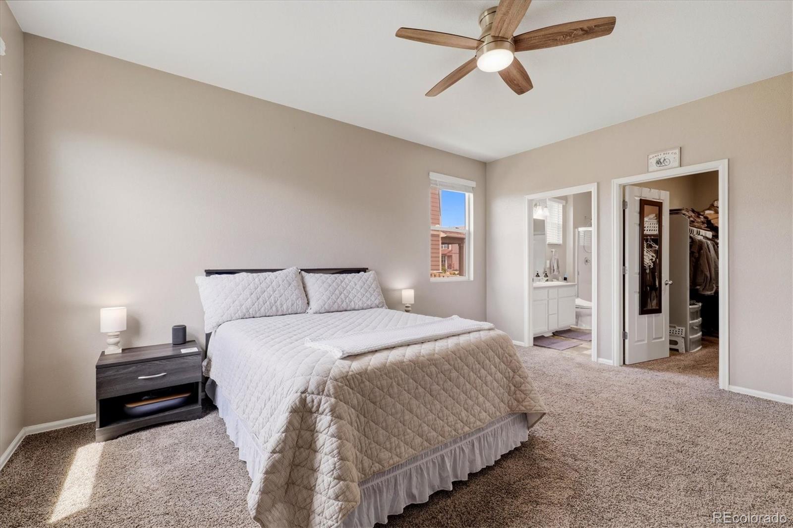 MLS Image #19 for 326  jay avenue,windsor, Colorado