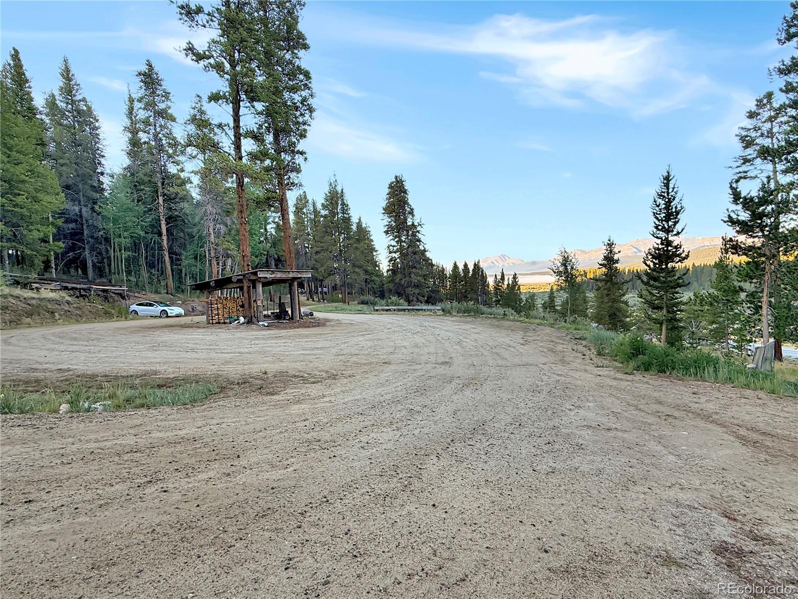 MLS Image #1 for 22980  us highway 24 ,leadville, Colorado