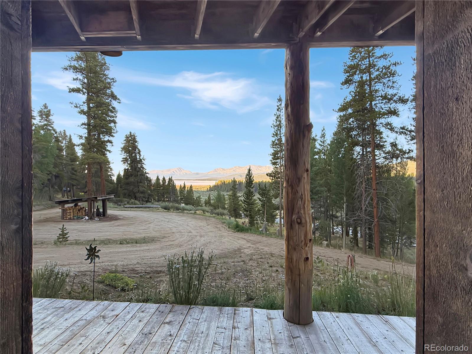 MLS Image #3 for 22980  us highway 24 ,leadville, Colorado