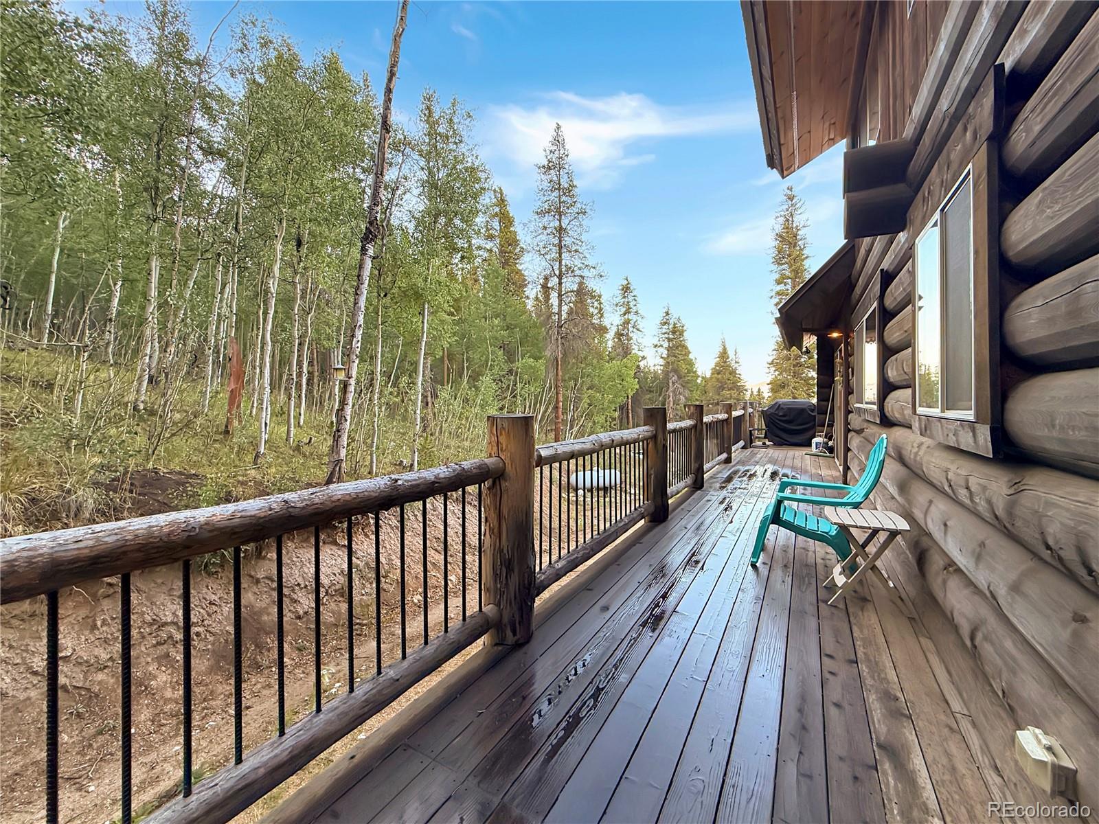 MLS Image #8 for 22980  us highway 24 ,leadville, Colorado