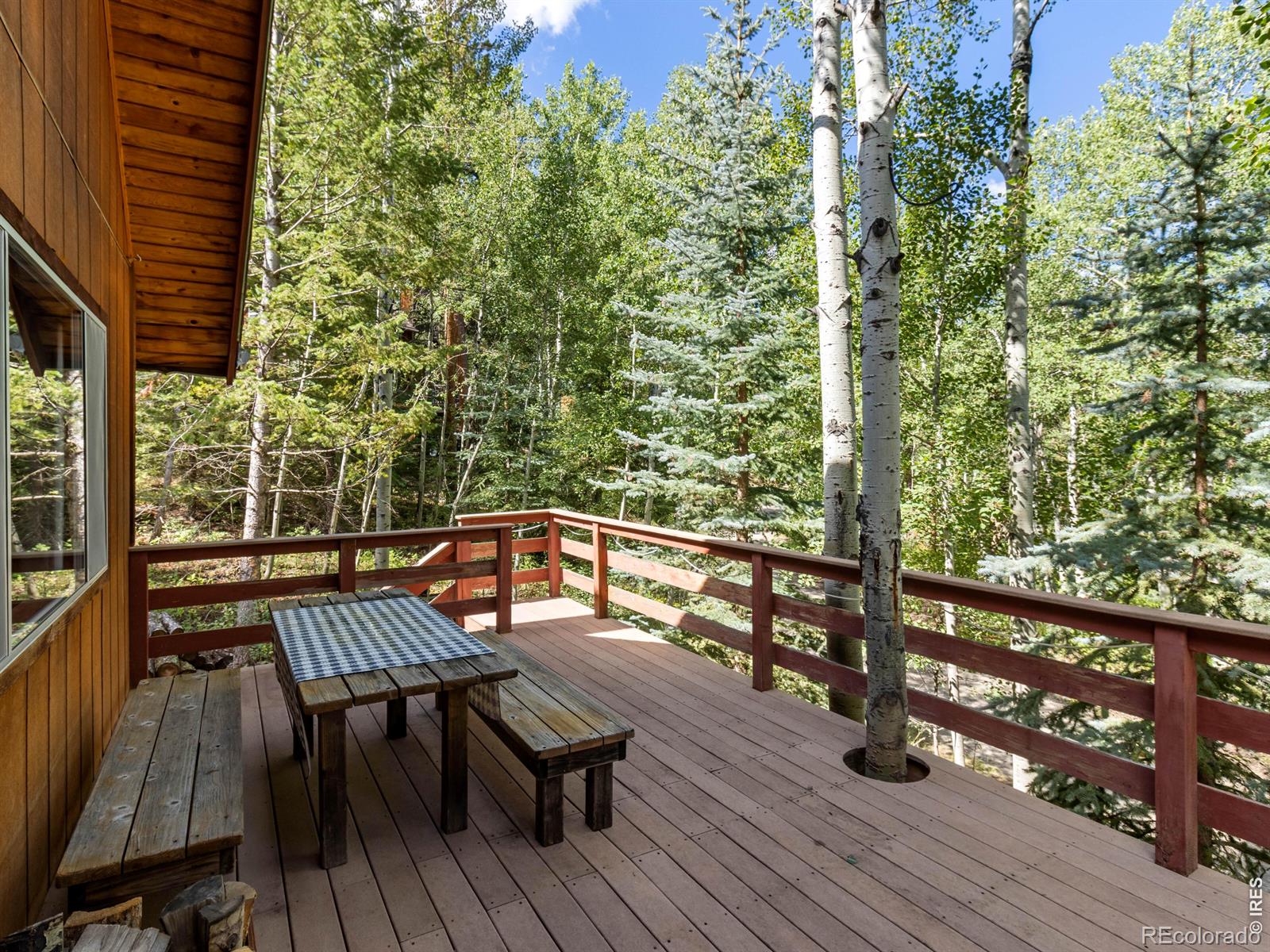 MLS Image #10 for 39  hickory drive,lyons, Colorado