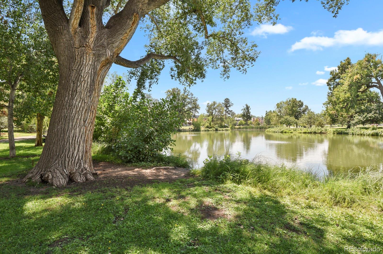 MLS Image #44 for 324 s downing street,denver, Colorado