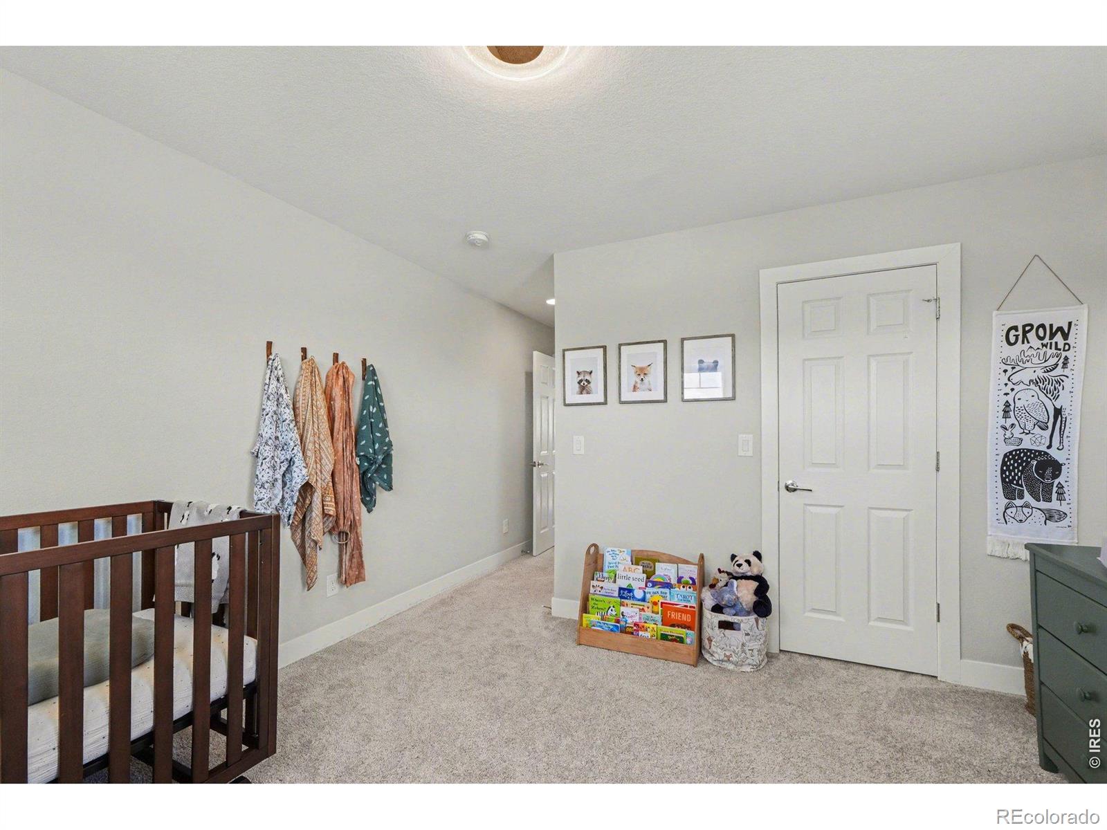 MLS Image #21 for 3943  owl creek court,loveland, Colorado