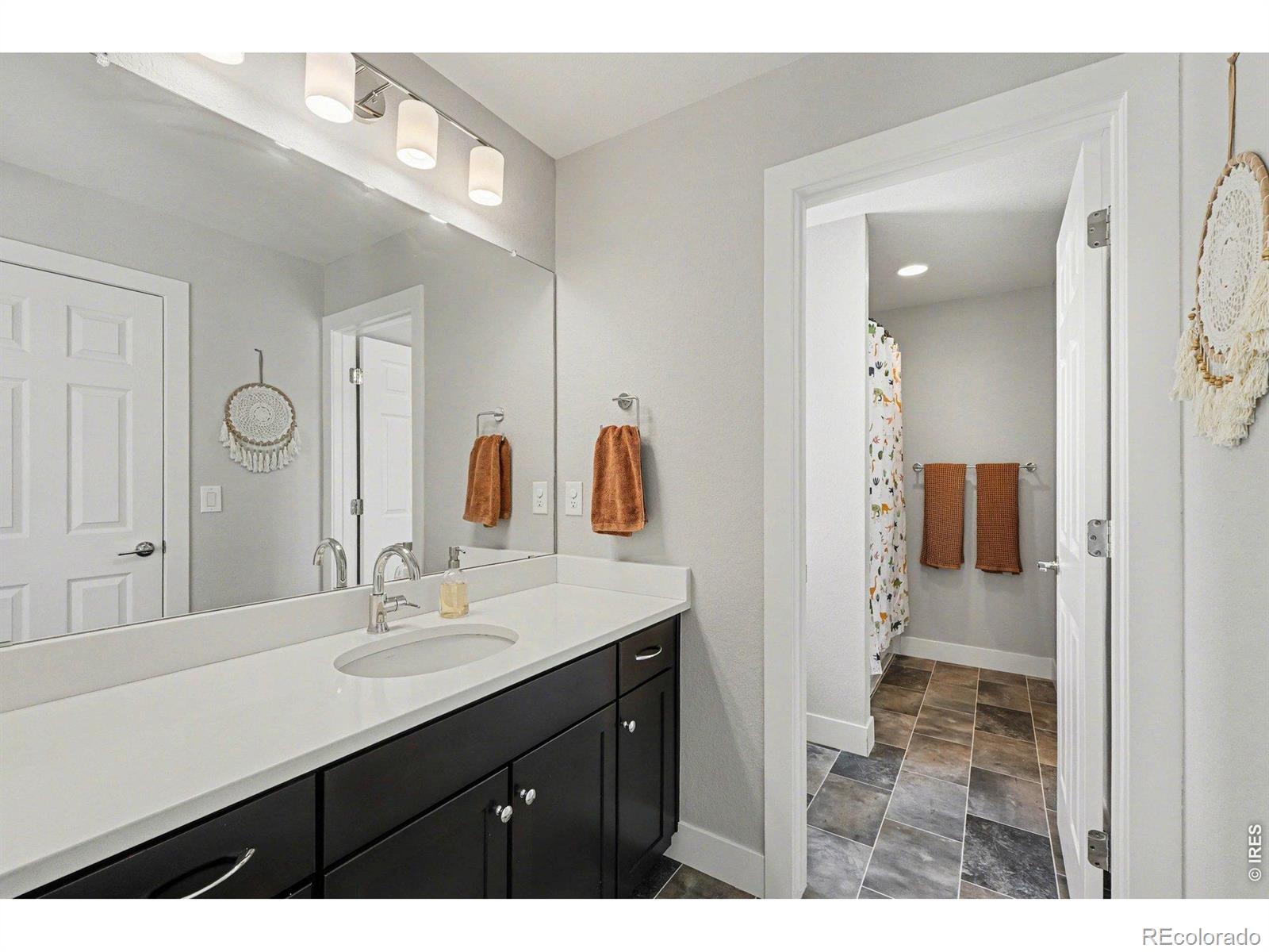 MLS Image #8 for 3943  owl creek court,loveland, Colorado