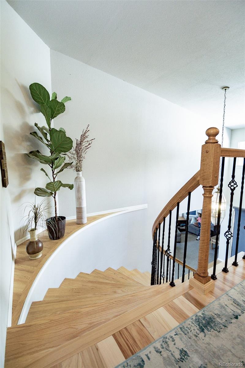 MLS Image #19 for 2224  ramsgate terrace,colorado springs, Colorado