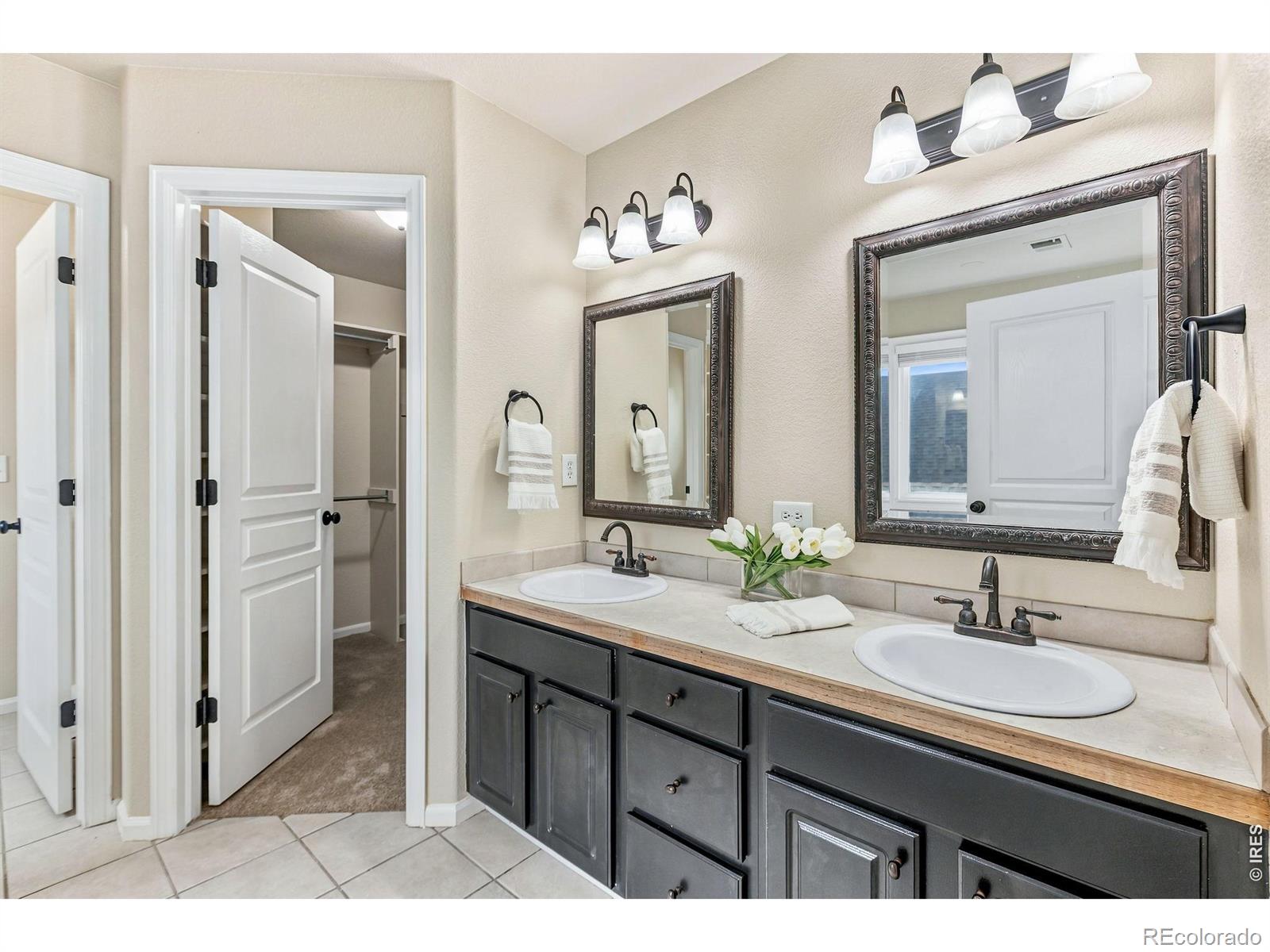MLS Image #16 for 894  durum street,windsor, Colorado