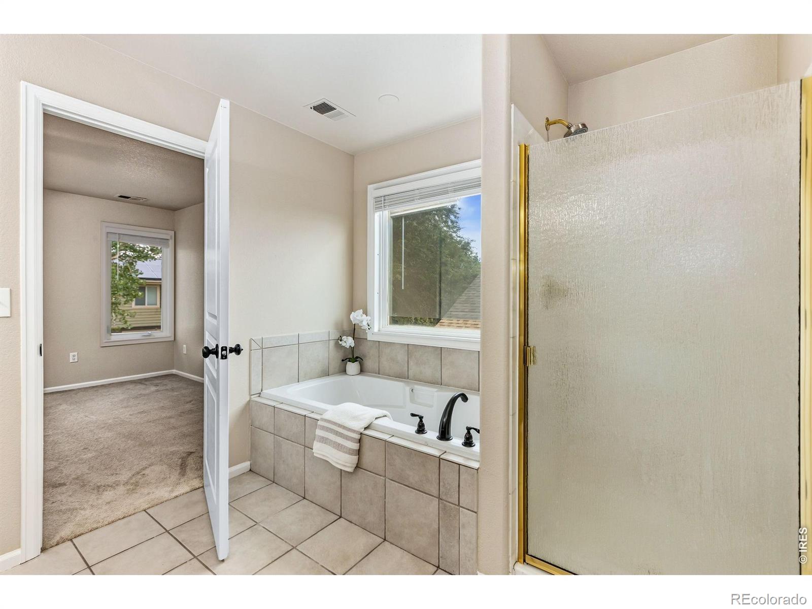 MLS Image #17 for 894  durum street,windsor, Colorado