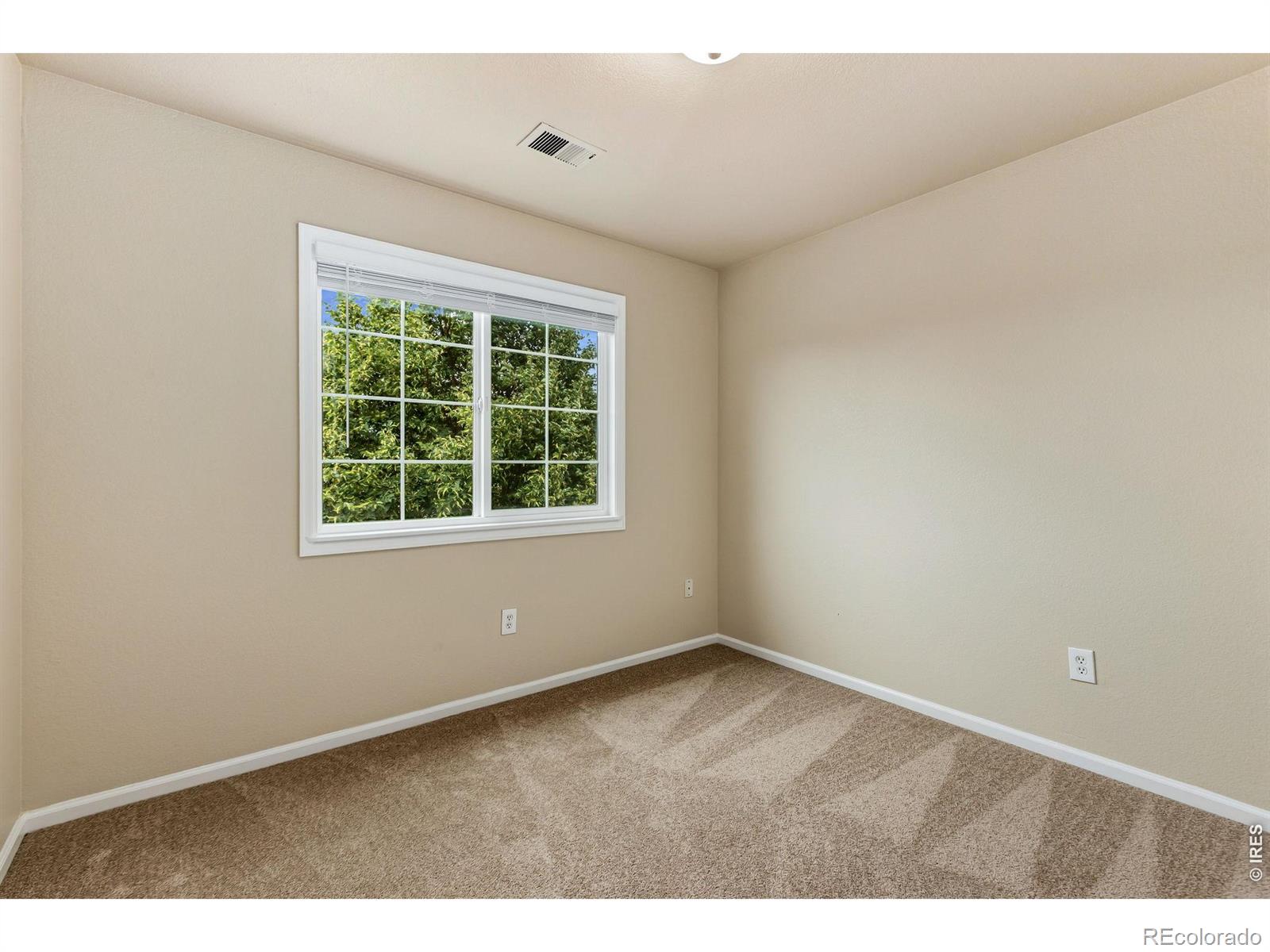 MLS Image #18 for 894  durum street,windsor, Colorado