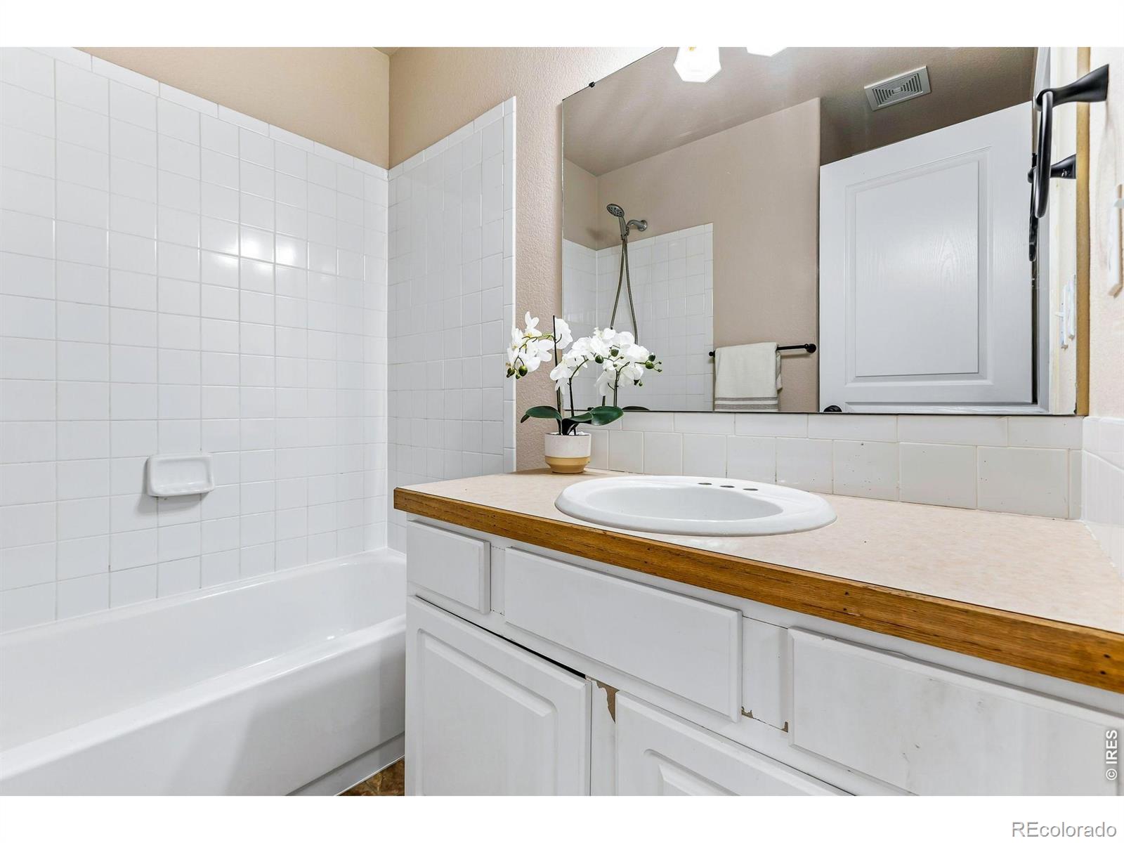 MLS Image #20 for 894  durum street,windsor, Colorado