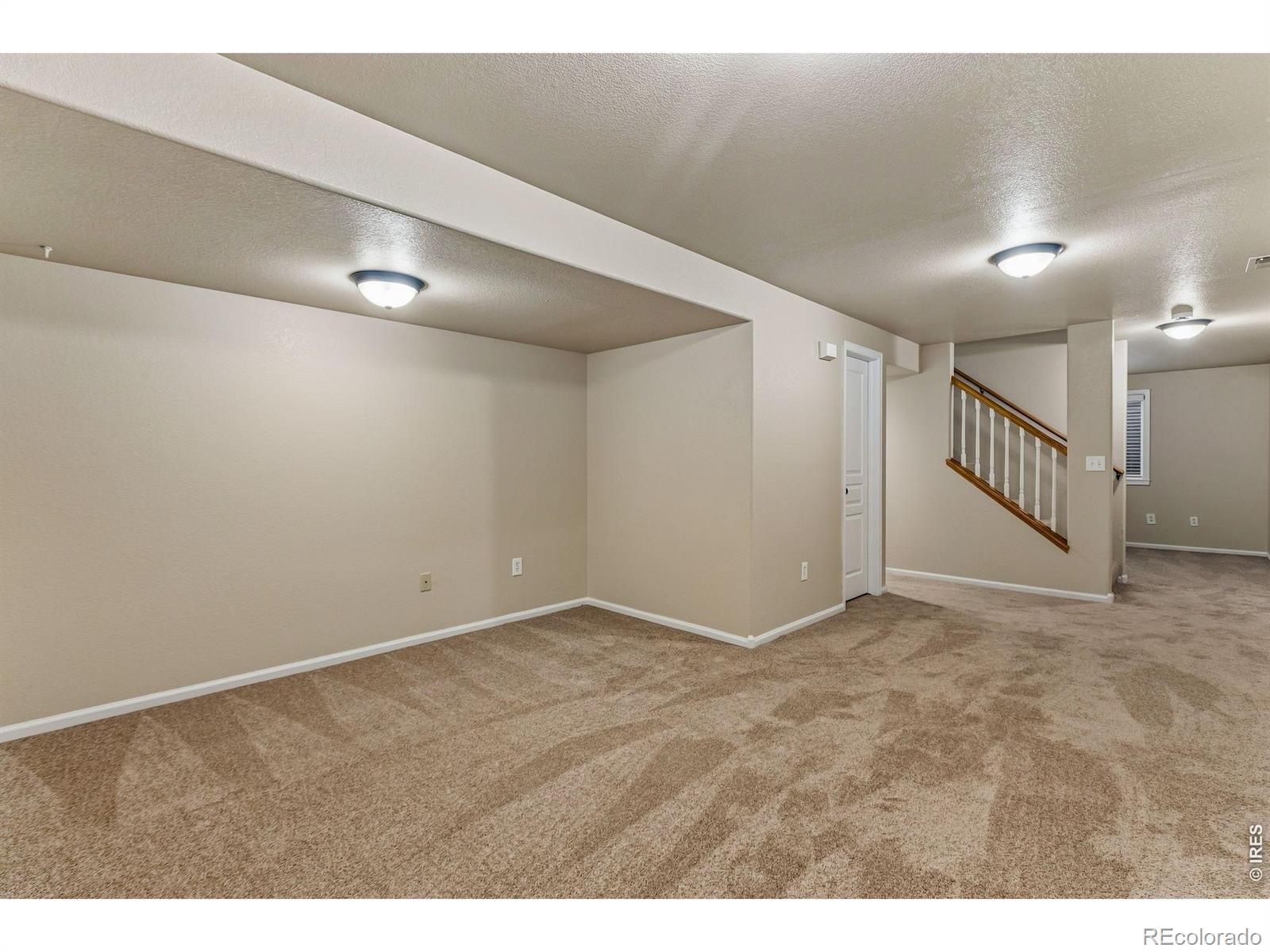 MLS Image #24 for 894  durum street,windsor, Colorado