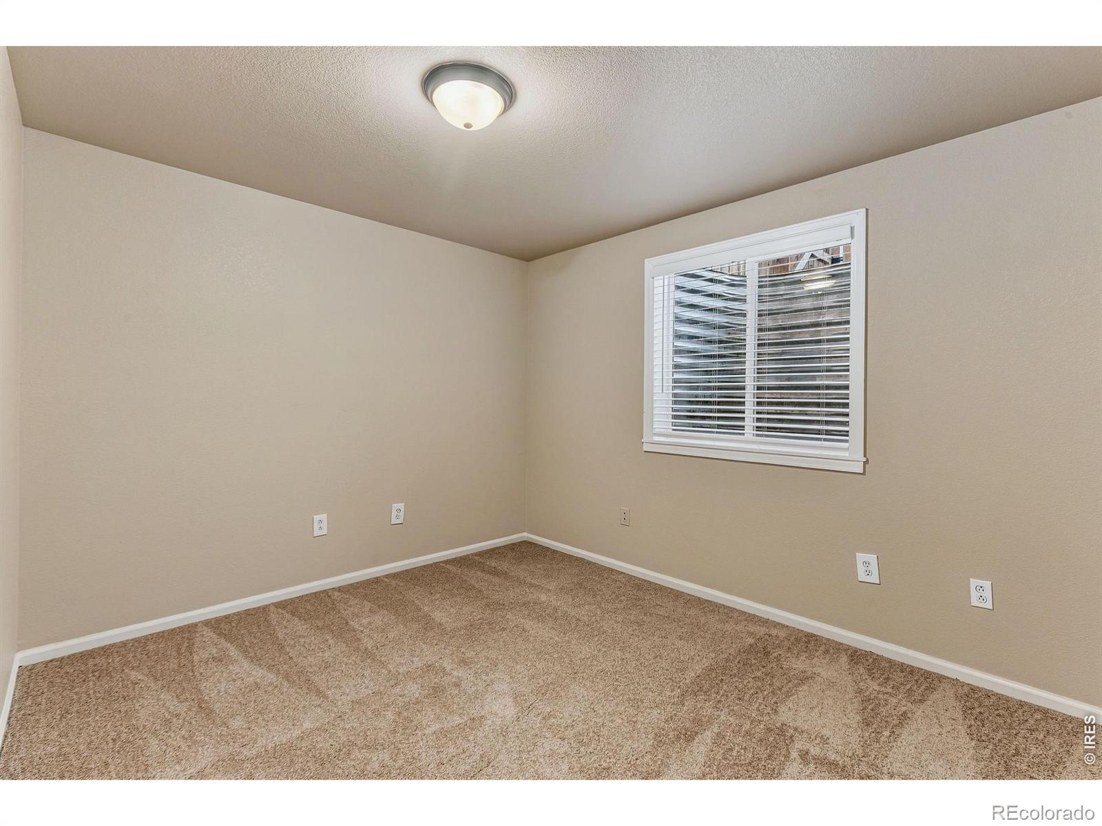 MLS Image #26 for 894  durum street,windsor, Colorado
