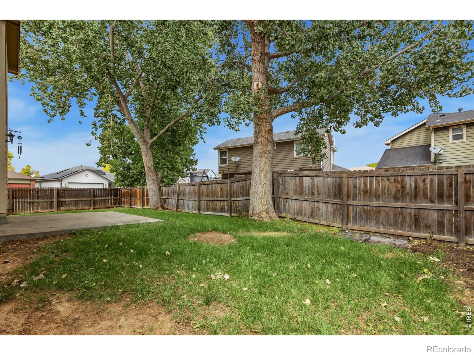MLS Image #34 for 894  durum street,windsor, Colorado