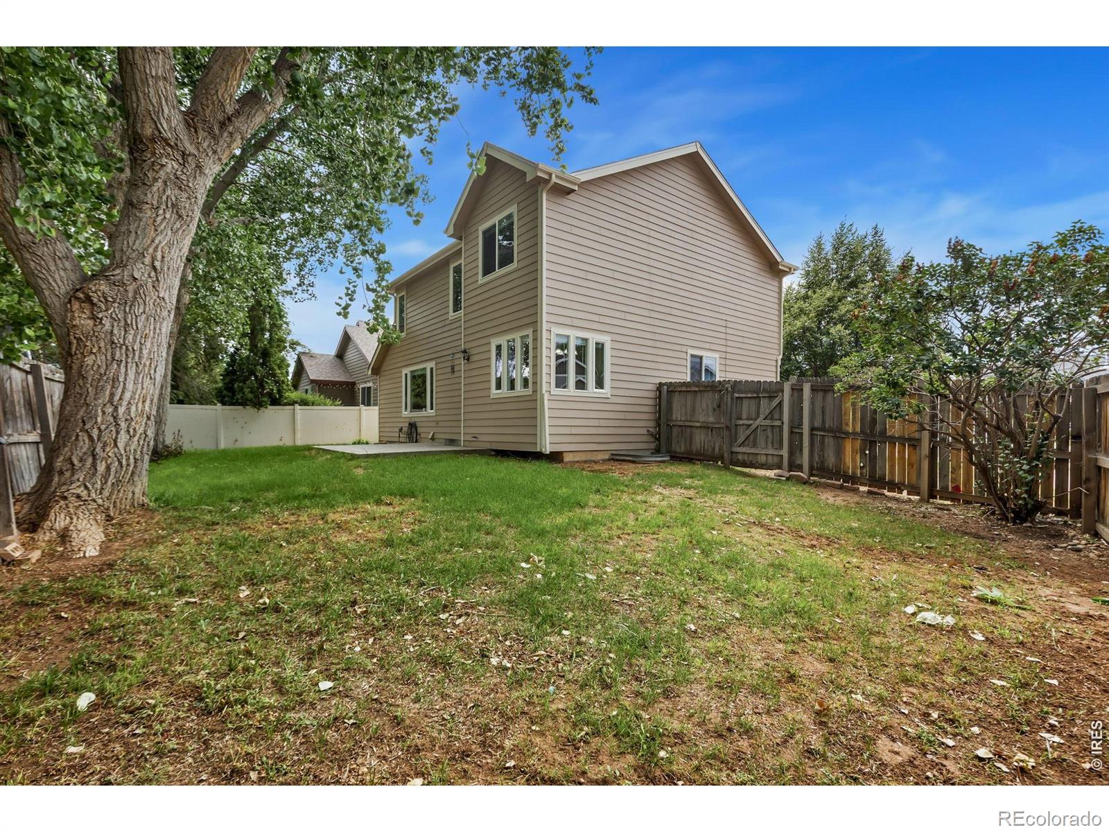 MLS Image #37 for 894  durum street,windsor, Colorado