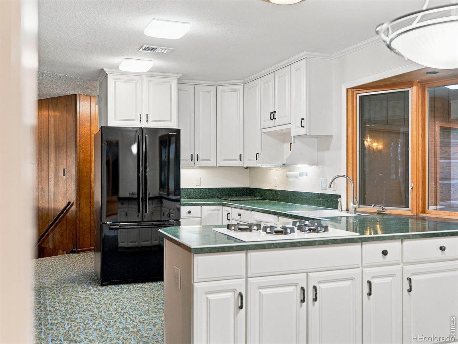 MLS Image #16 for 3005  shore road,fort collins, Colorado