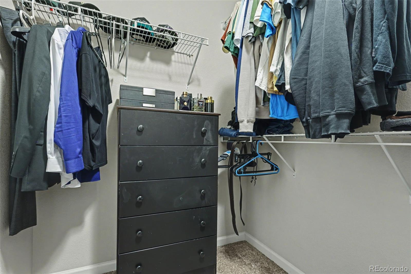 MLS Image #19 for 2130  birmingham loop,colorado springs, Colorado