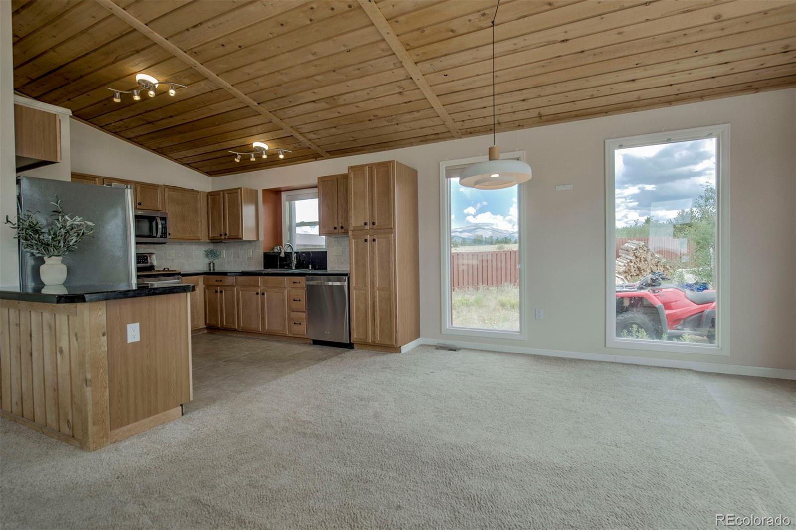 MLS Image #1 for 119  bristlecone lane,fairplay, Colorado