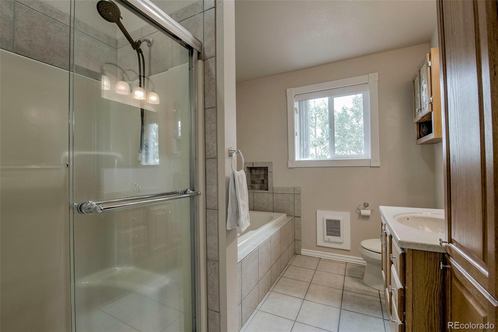 MLS Image #13 for 119  bristlecone lane,fairplay, Colorado