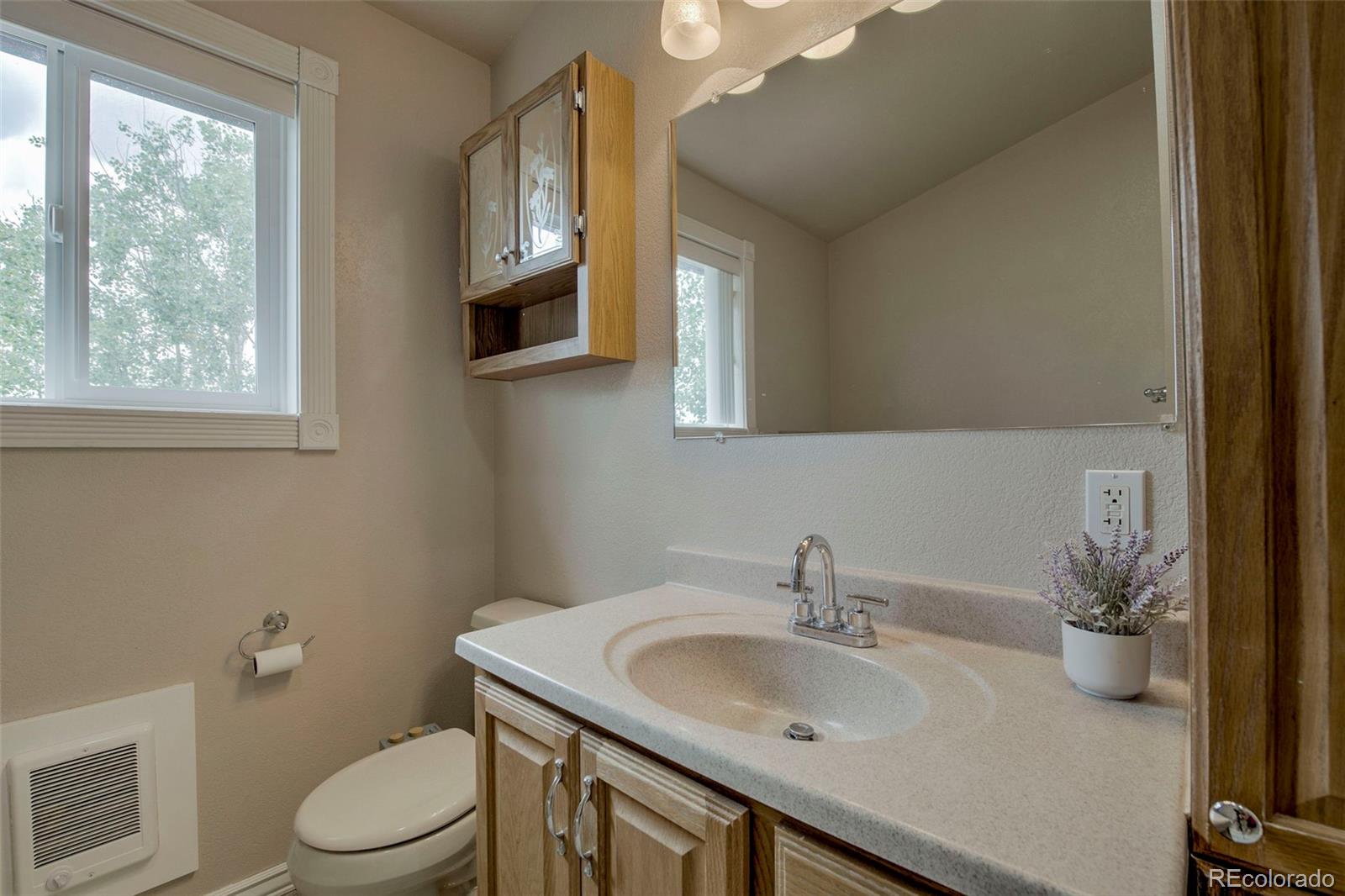 MLS Image #14 for 119  bristlecone lane,fairplay, Colorado