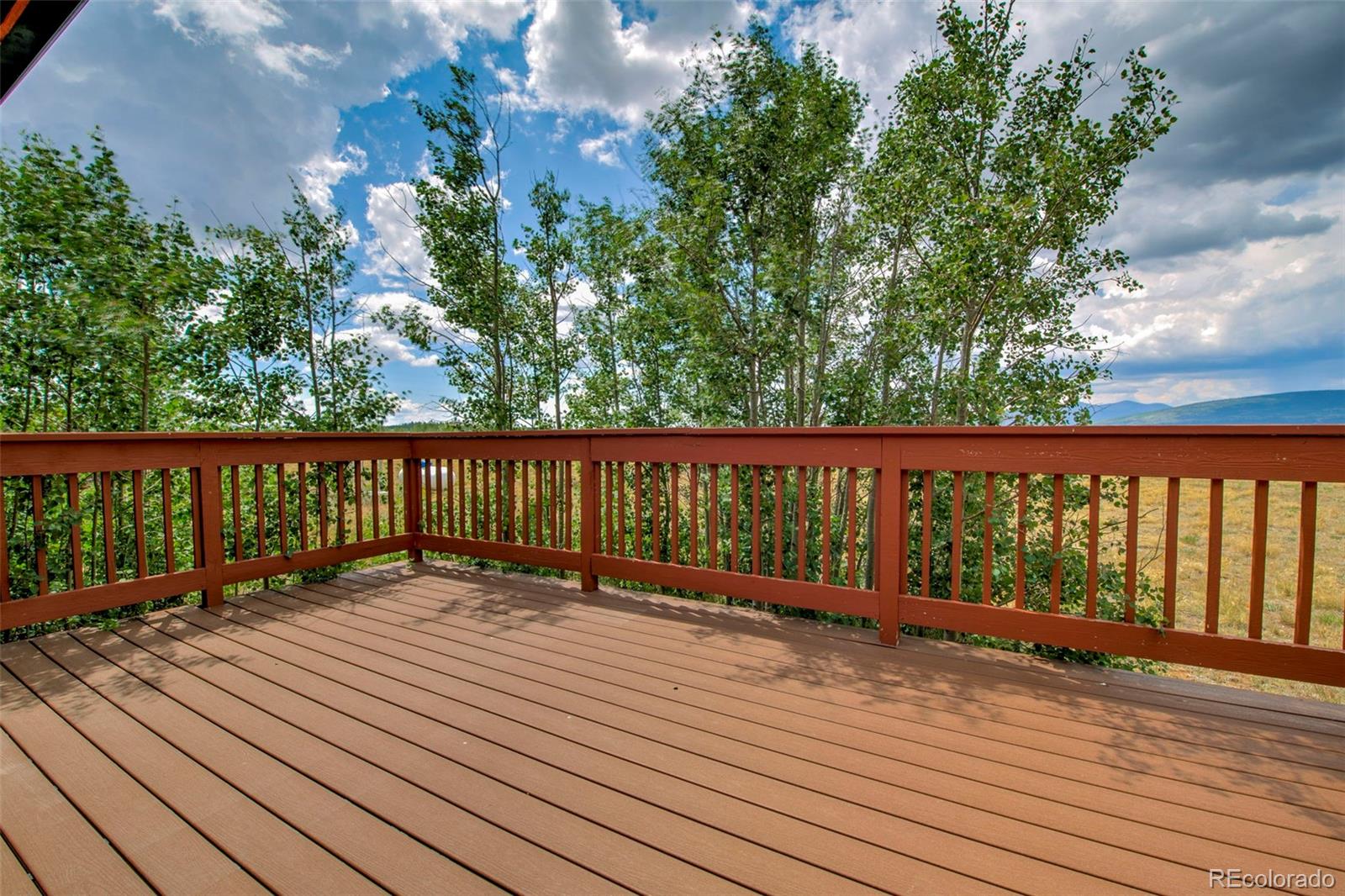 MLS Image #15 for 119  bristlecone lane,fairplay, Colorado