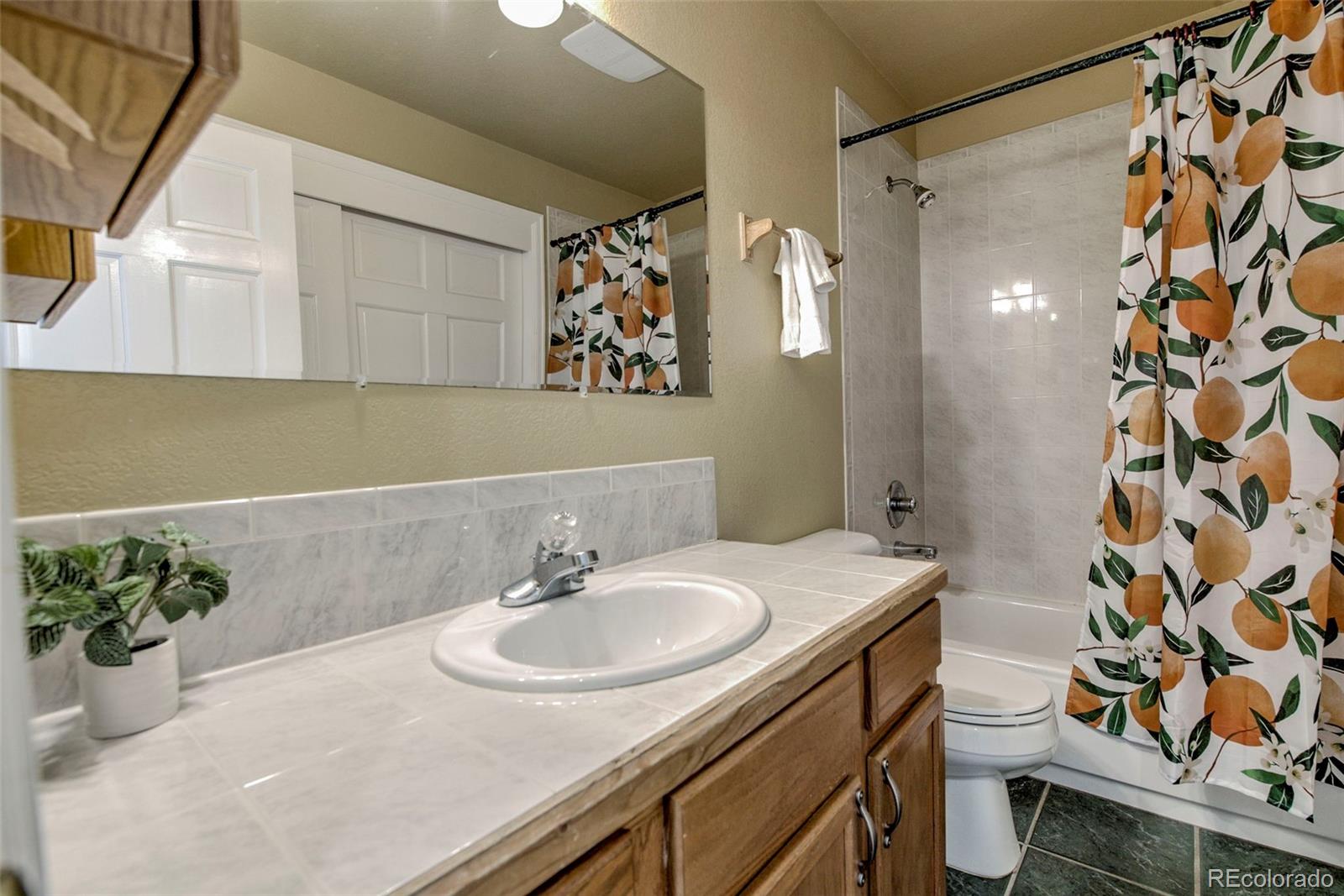 MLS Image #20 for 119  bristlecone lane,fairplay, Colorado