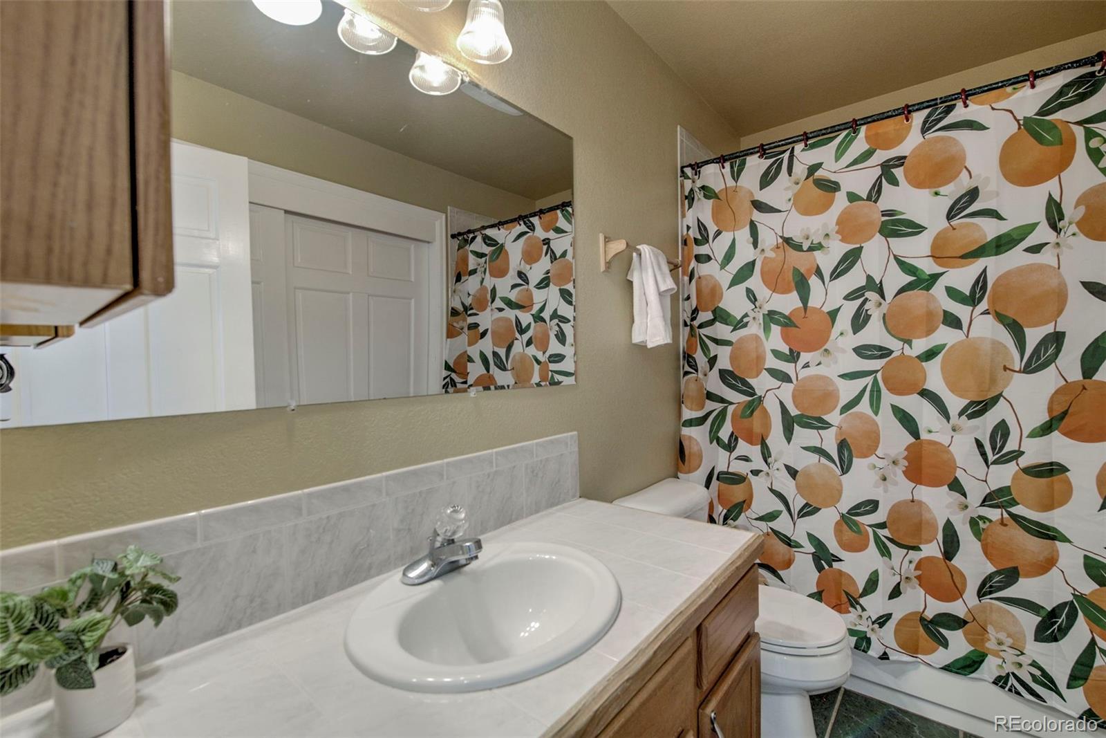 MLS Image #21 for 119  bristlecone lane,fairplay, Colorado