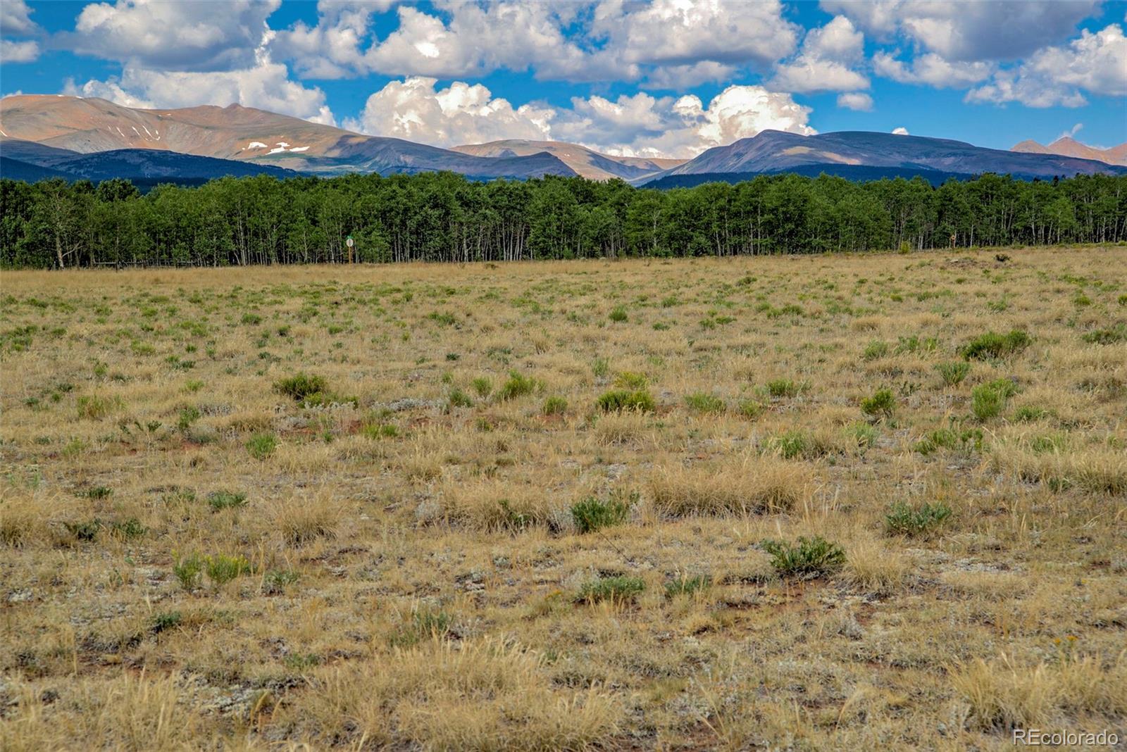 MLS Image #34 for 119  bristlecone lane,fairplay, Colorado