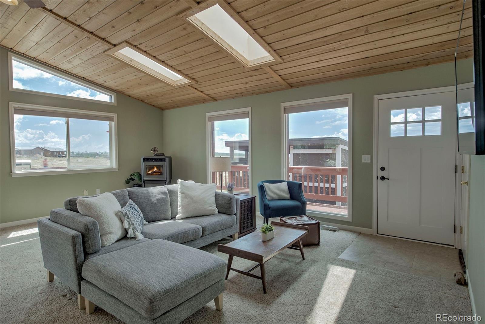 MLS Image #4 for 119  bristlecone lane,fairplay, Colorado