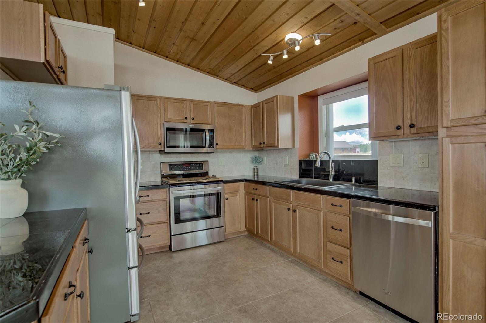 MLS Image #5 for 119  bristlecone lane,fairplay, Colorado