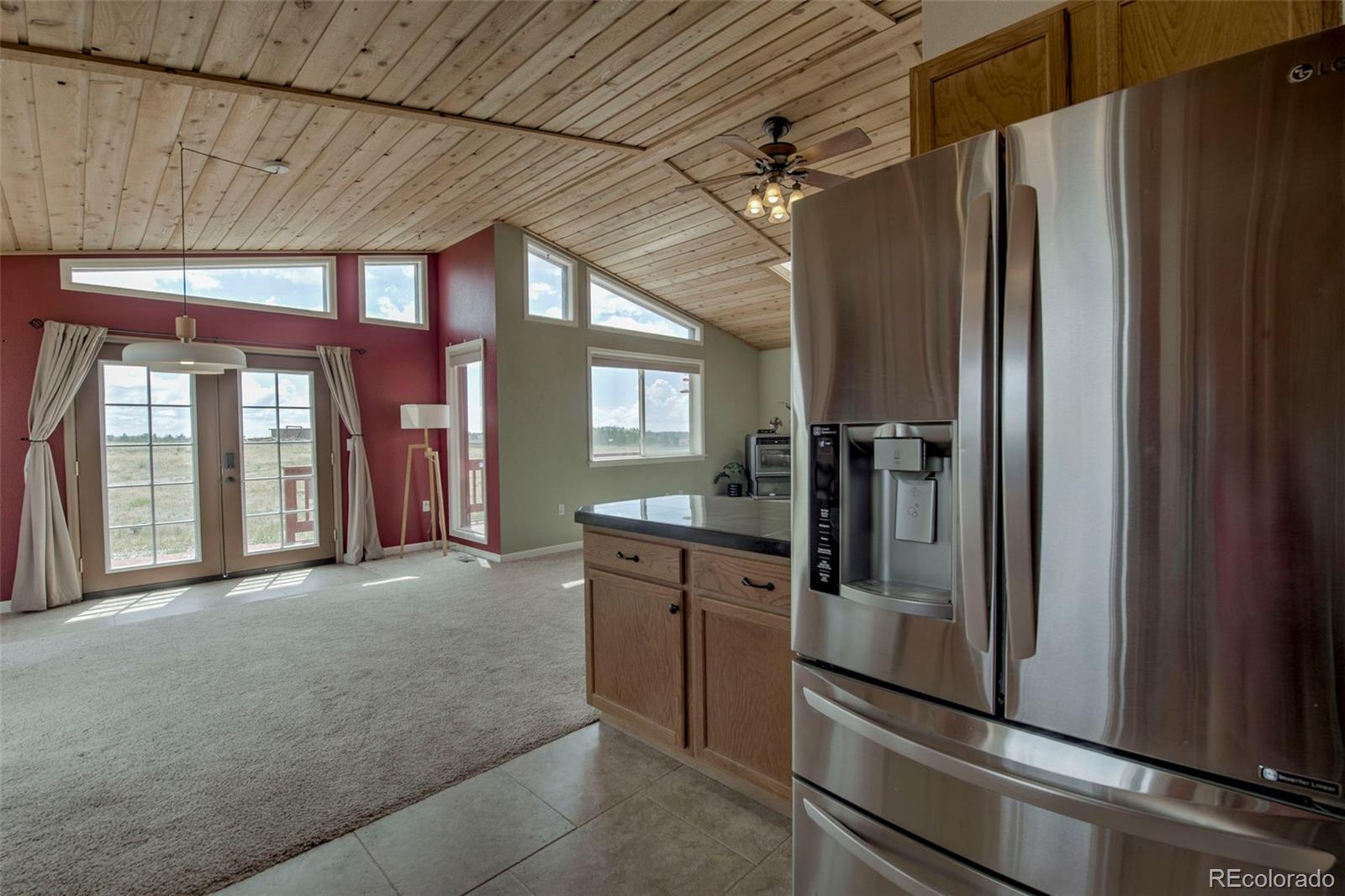 MLS Image #8 for 119  bristlecone lane,fairplay, Colorado